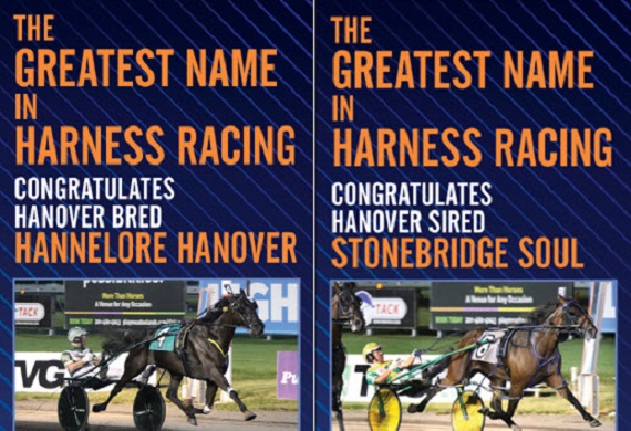 Stonebridge Soul_Hannelore Hanover